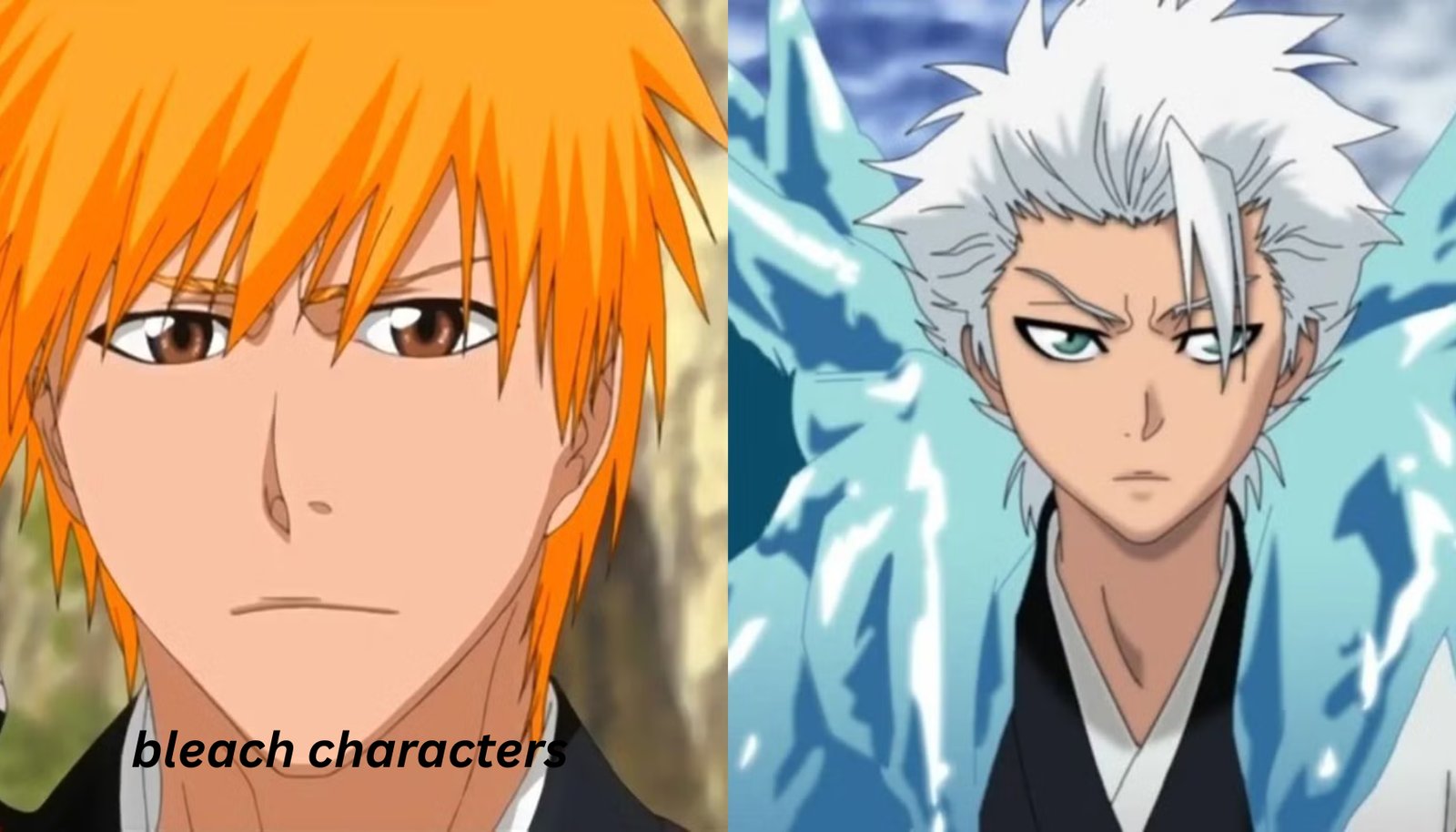 bleach characters
