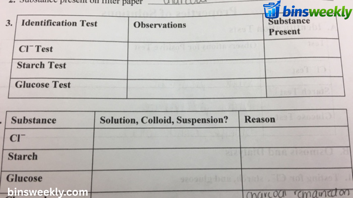appearance of filter paper